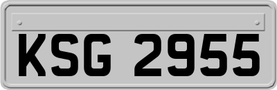 KSG2955