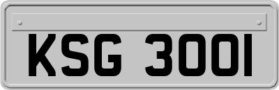 KSG3001