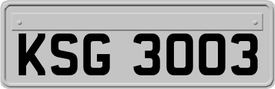 KSG3003