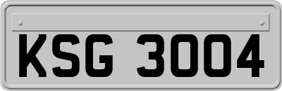 KSG3004