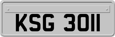 KSG3011