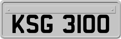KSG3100