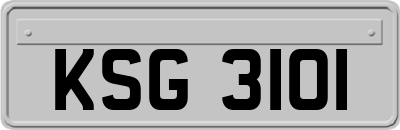 KSG3101