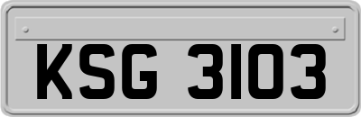 KSG3103