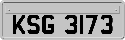 KSG3173