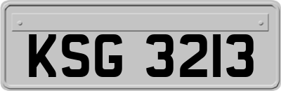 KSG3213