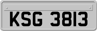 KSG3813