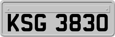 KSG3830