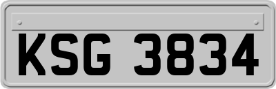 KSG3834
