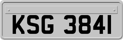 KSG3841