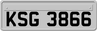 KSG3866