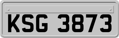 KSG3873