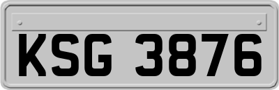 KSG3876