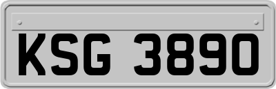 KSG3890