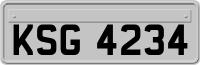 KSG4234