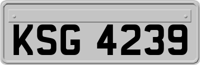 KSG4239