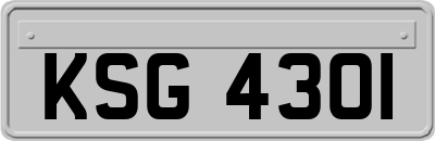KSG4301