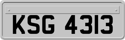 KSG4313
