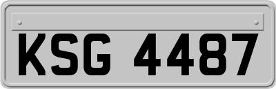 KSG4487