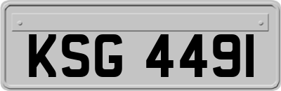 KSG4491