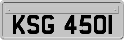 KSG4501