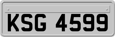 KSG4599