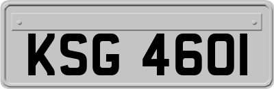 KSG4601