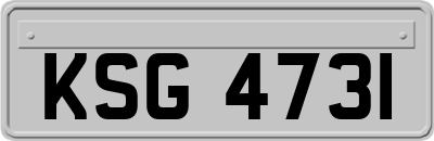 KSG4731