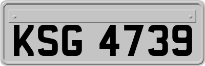 KSG4739