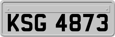 KSG4873