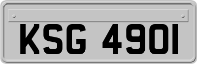 KSG4901