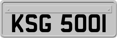 KSG5001