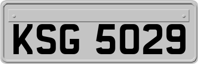 KSG5029