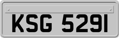 KSG5291