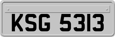 KSG5313