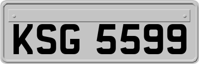 KSG5599