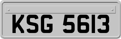 KSG5613