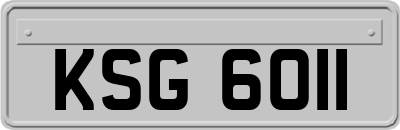 KSG6011