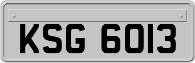 KSG6013