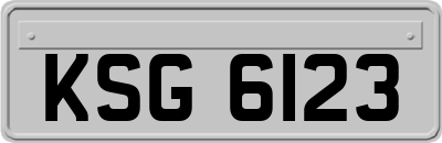 KSG6123