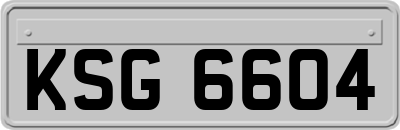 KSG6604