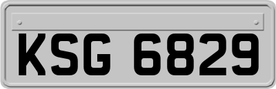 KSG6829