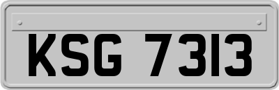 KSG7313