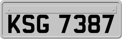 KSG7387