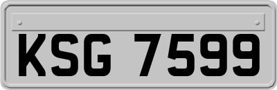 KSG7599