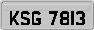 KSG7813