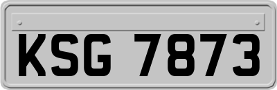 KSG7873