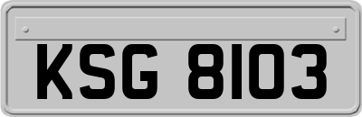 KSG8103