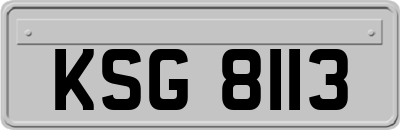 KSG8113