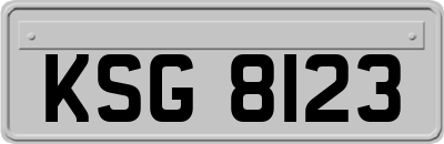 KSG8123
